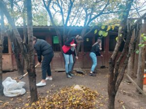 IMG_20221008_172306_676